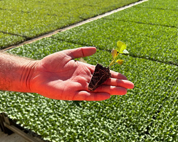 Shaping-the-future-of-agriculture-with-innovative-skills-and-training